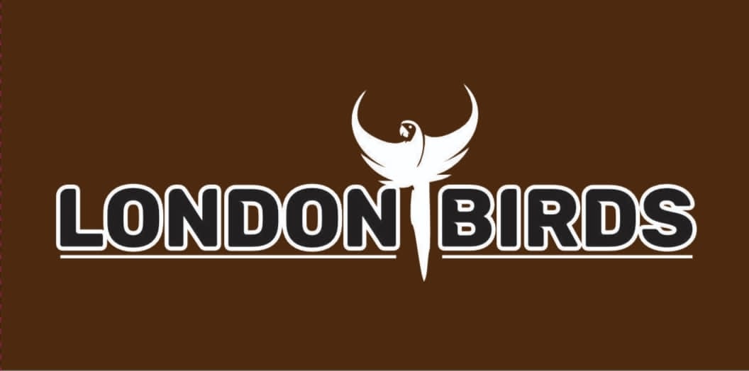 Premium Food For Birds