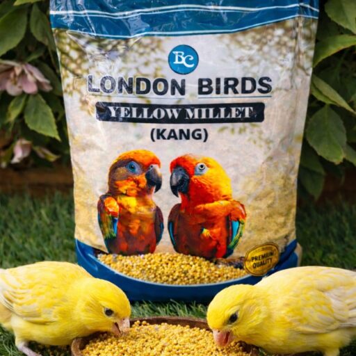 This image shows the site icon of Balwantrai Chatrabhuj & Co