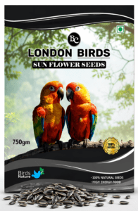 Sunflower Seeds