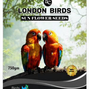 Sunflower Seeds