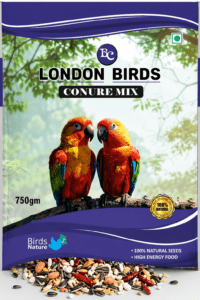 Conure mix