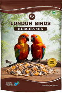 Burgies mix