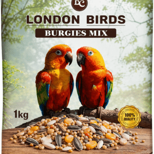 Give your burgies bird a burgies mix food