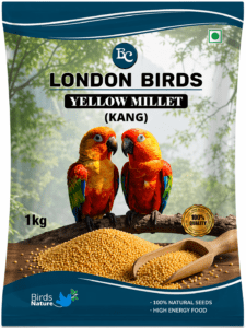 Yellow millets